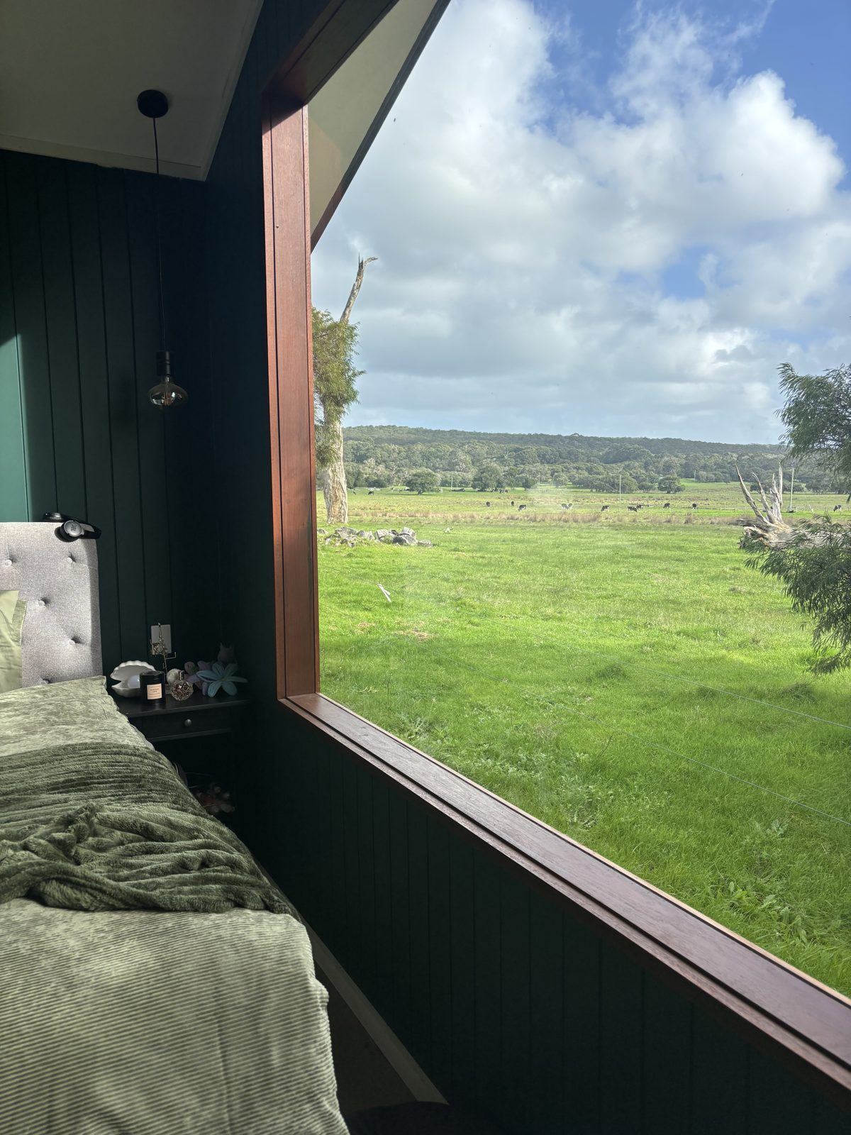 The paddock view from the bed through the picture window