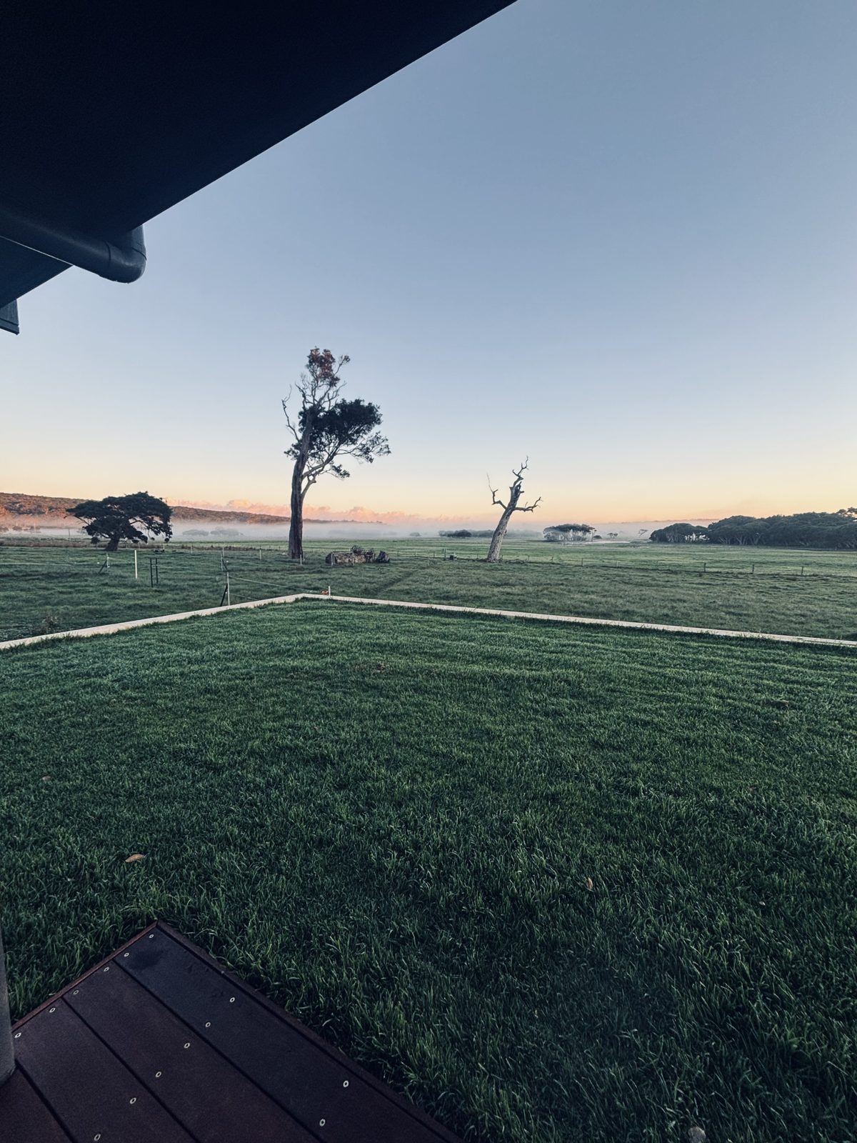 The lawn and open paddock at dawn