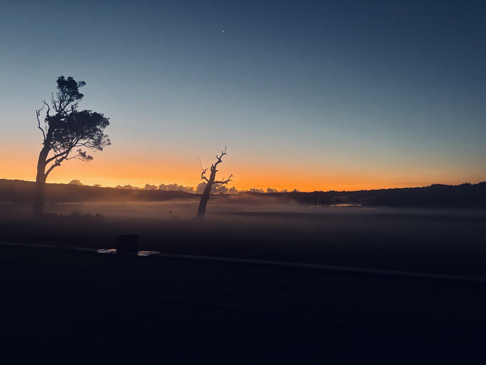 Misty sunrise over the paddocks