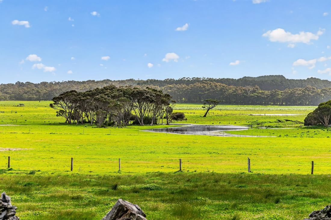 Open paddock and wetland